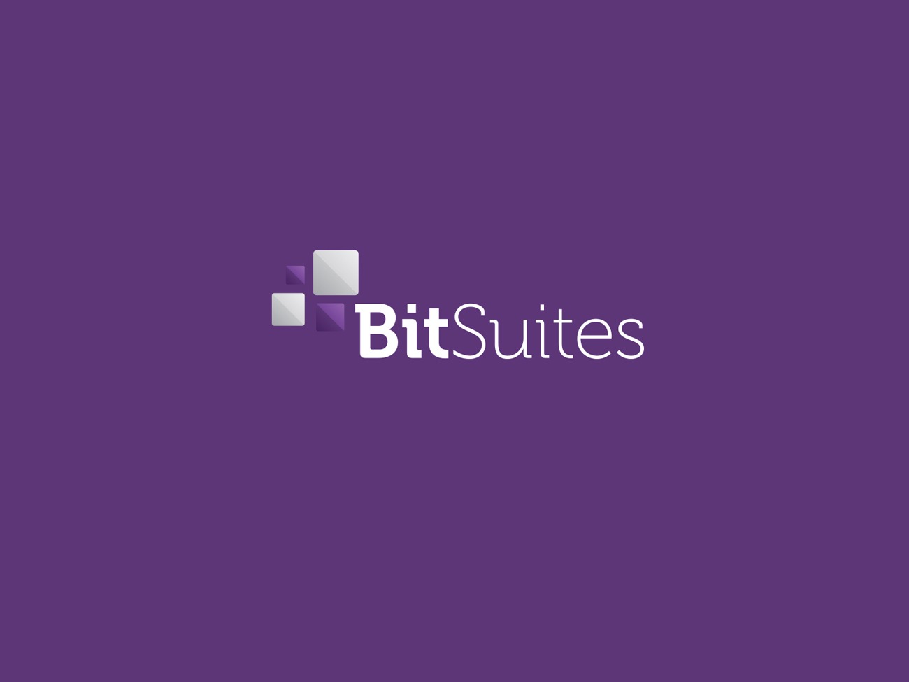 BitSuites Branding & Logo Design