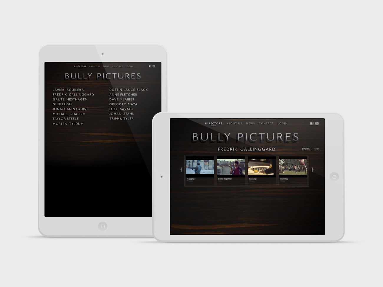Bully Pictures Website Design